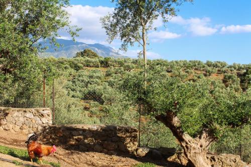  Holiday Home Geor. Mpaka in Kalamata