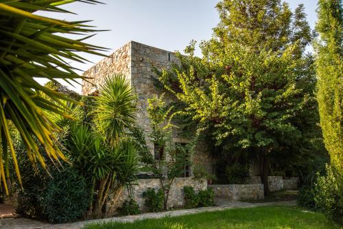 Ktima Petalea - image 12
