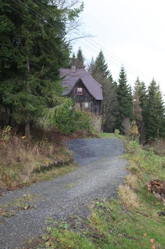 König-in - image 6