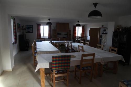 König-in - main image