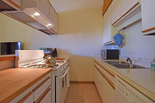 Golden Ski Getaway - image 3