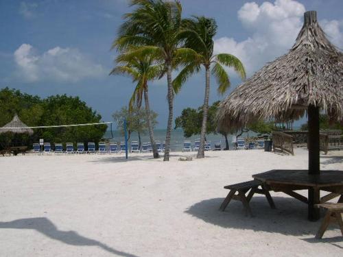 LICENSED MGR - BRAND NEW LUXURIOUS OCEANFRONT CONDO! BAR and BEACH RESORT! Tavernier