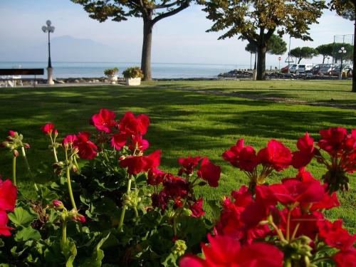 Hotel Lugana Parco Al Lago - image 11