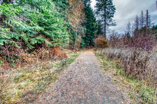 Big Horn Guest Cabin - image 6