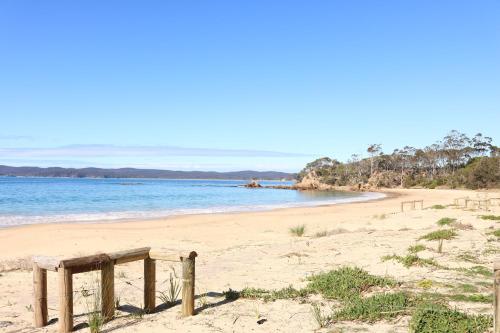 The Shore Break Eden