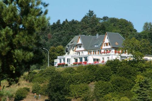 Hôtel Panorama - image 9