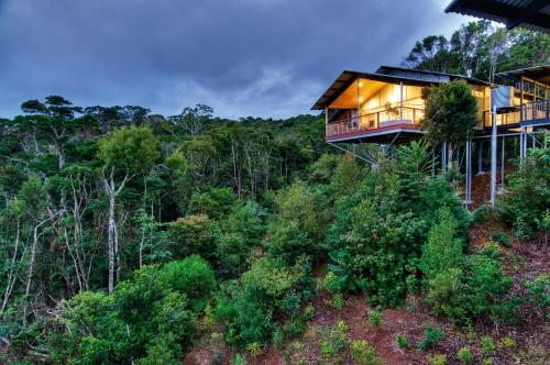 O'Reilly's Rainforest Retreat