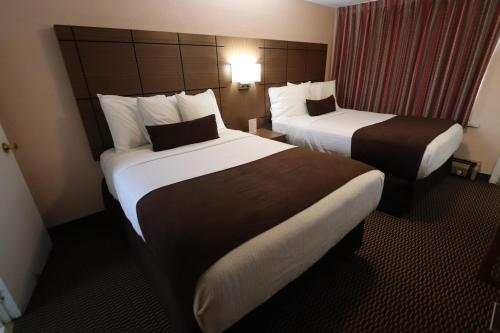 Deluxe Double or Twin Room with Lake View