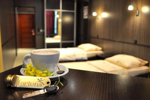 Hotel Fortuna - image 2