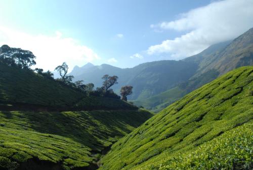 Holiday Heaven Munnar