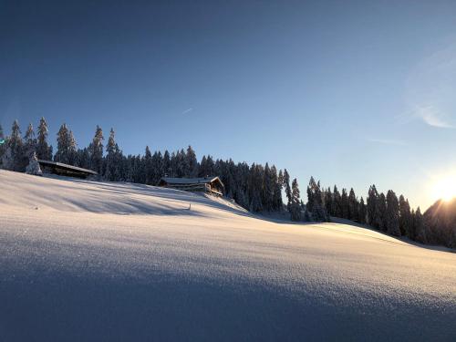 Alpinus Agriturism