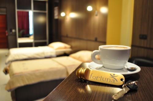 Hotel Fortuna