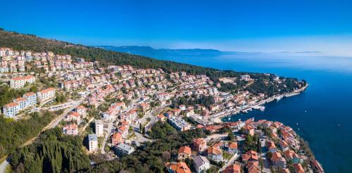 Viesnīcas āriene, Beautiful villa Natura with pool in Labin in Brgod