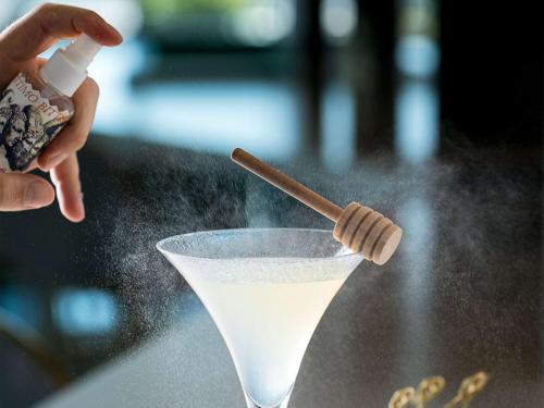 229332467 Sofitel Roma Villa Borghese