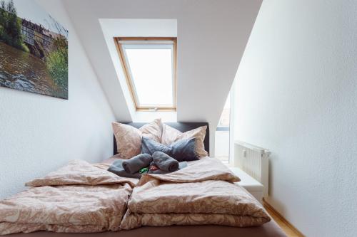 Wohnung mit Blick auf die Zitadelle Petersberg - 3 Zimmer Wohnung mit Blick auf die Zitadelle Petersberg - 3 Zimmer