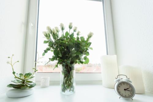 Wohnung mit Blick auf die Zitadelle Petersberg - 3 Zimmer Wohnung mit Blick auf die Zitadelle Petersberg - 3 Zimmer