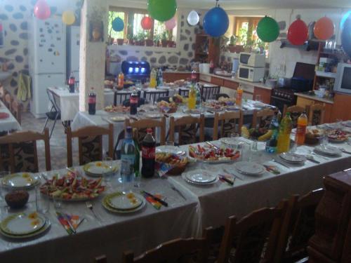 Pensiunea Nicky in Oeştii Ungureni