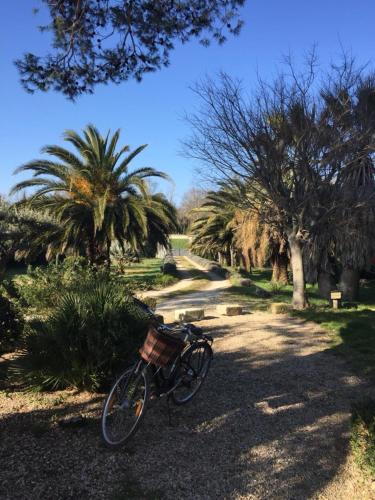 l'Oasis en Provence chambre d'hôte Saint-Pierre-de-Mézoargues