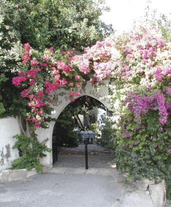 The Bunch Of Grapes Inn Pissouri