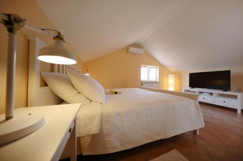 Apartments Villa Marnii 5