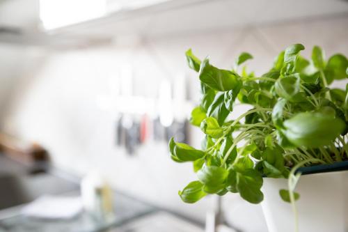 Wohnung mit Blick auf die Zitadelle Petersberg - 3 Zimmer Wohnung mit Blick auf die Zitadelle Petersberg - 3 Zimmer