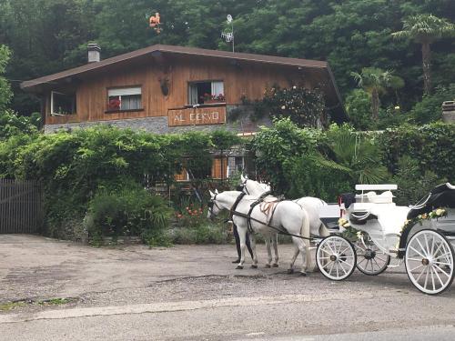 Al cervo tra i laghi - Accommodation - Tavernerio