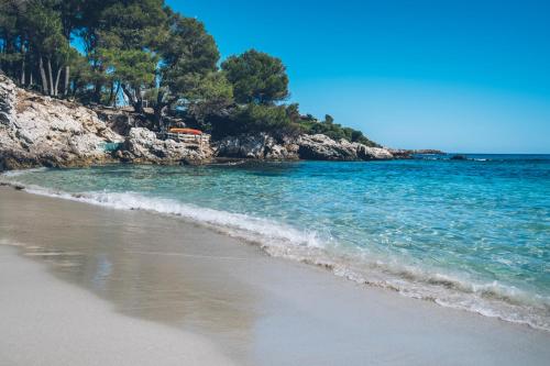 Iberostar Pinos Park - image 8
