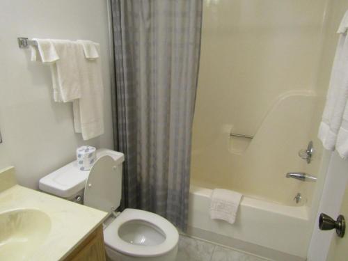 Skyleaf D_1 Condo - image 7