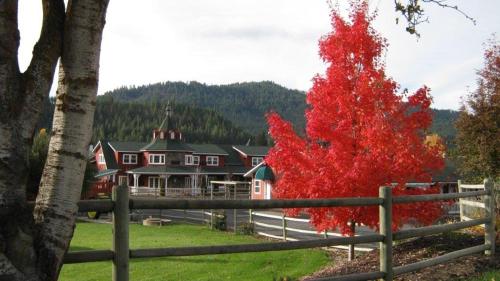 Beaver Valley Lodge - image 3