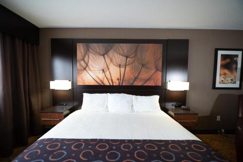 Royal River Casino Hotel - image 5