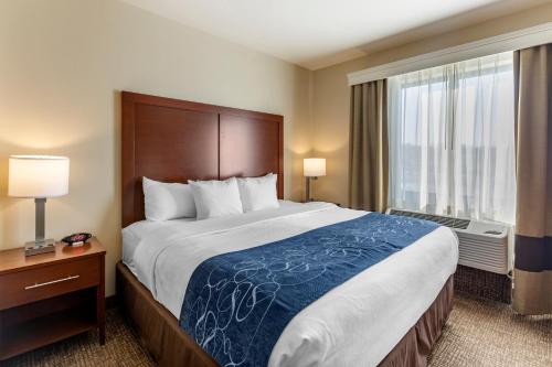 Queen Suite with Two Queen Beds and Sofa Bed - Non-Smoking image 5