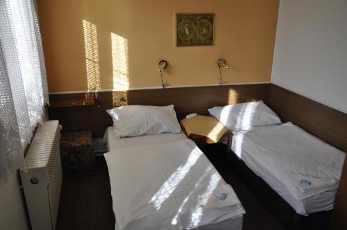 Pension Sparta, Praha (fotografie 6)