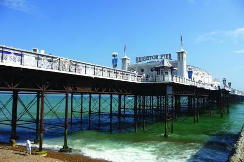 Britannia Study Hotel - image 14