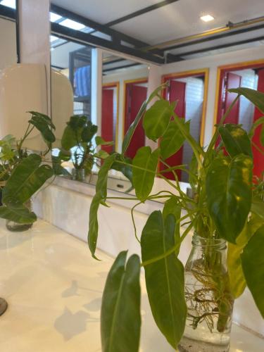 Shower, Indie Hostel - Koh Tao in Ko Tao