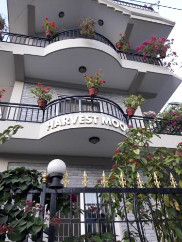 Harvest Moon Guest House