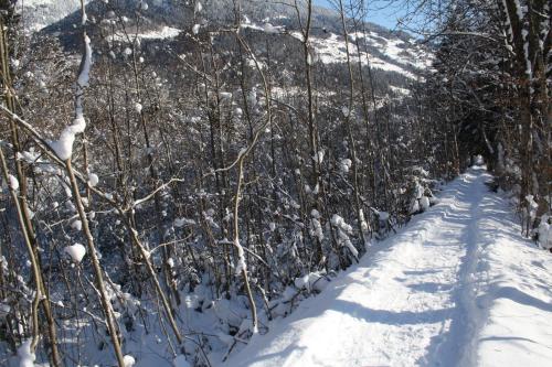 Appartment Shelley Appartment Shelley