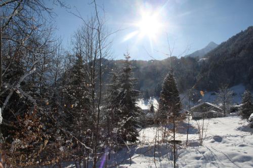 Appartment Shelley Appartment Shelley