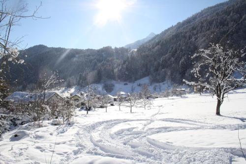 Appartment Shelley Appartment Shelley