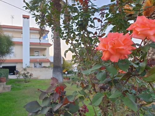  Vaso's country house near the beach and airport, Pension in Porto Rafti