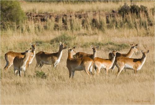 Otterskloof Game Reserve