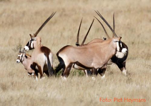 Otterskloof Game Reserve