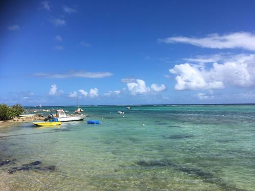 Villa Guadeloupe Saint François Accès Mer Piscine IGUANA BAY - Villa Zagadi