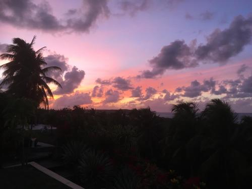 Villa Guadeloupe Saint François Accès Mer Piscine IGUANA BAY - Villa Zagadi