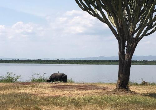 Nas proximidades, Kasenyi Lake Retreat Lodges & Campsite in Kasese