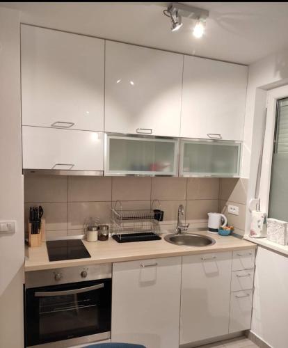 Apartman Beker Vrnjacka Banja - image 3