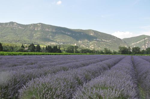 Un petit coin de paradis