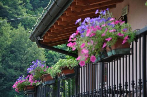  Agriturismo Dazze in Marcheno