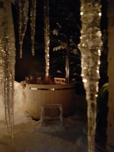 سبا, Jungholz Chalet 65 in Jungholz