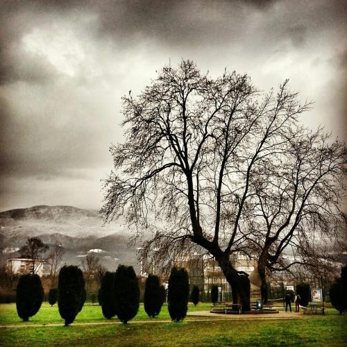 Kocaeli Universitesi Kartepe Park Hotel in Masukiye