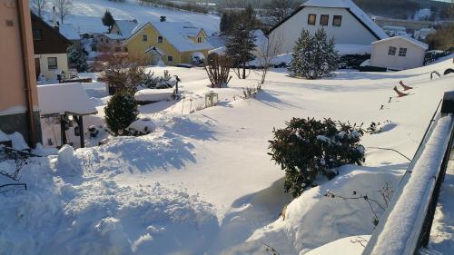 Im Erzgebirge Wandern, Fahrrad fahren oder entspannen in 埃倫弗里德爾斯多夫